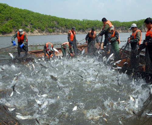 畜牧水產(chǎn)養殖業(yè)